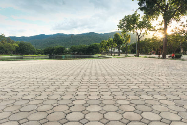 Best Concrete Paver Driveway  in Rosepine, LA